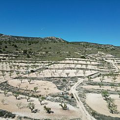 Kavel in Pinoso