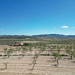 Kavel in Pinoso