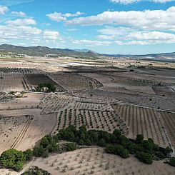 Kavel in Pinoso