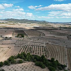 Kavel in Pinoso