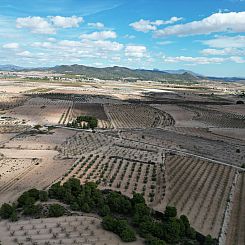 Kavel in Pinoso