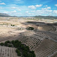 Kavel in Pinoso
