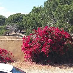 Huis bij duinen en zee in La Mata