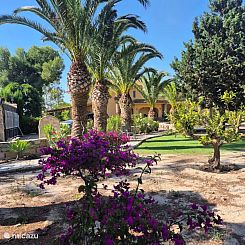 Een platteland Las Bayas, Elche.