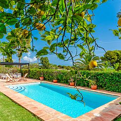 Vakantiehuis Villa Pomelo Plus