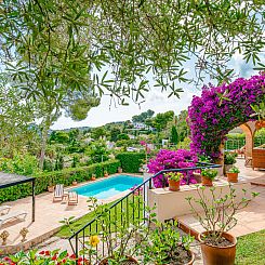 Vakantiehuis Villa Pomelo Plus