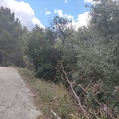 Kavel in Orba