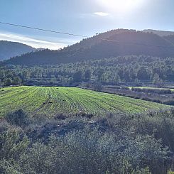 Kavel in Monovar