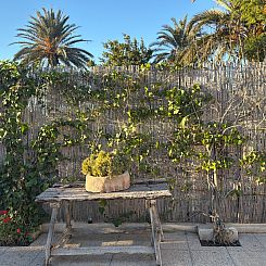 Vrijstaande woning in Dolores