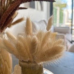 Appartement in San Fulgencio