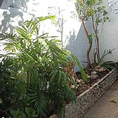 La Isabella