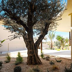 Vrijstaande woning in San Fulgencio