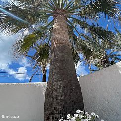 Casa Amarilla