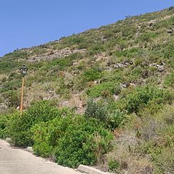 Kavel in Jalón