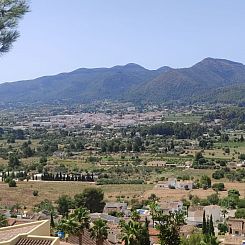 Kavel in Jalón