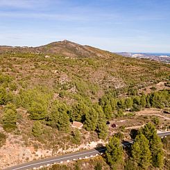 Kavel in Jalón