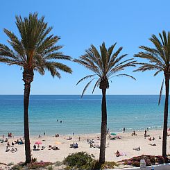 Appartement in Mil Palmeras