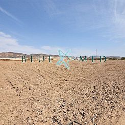 Kavel in Media Legua