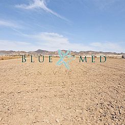 Kavel in Media Legua