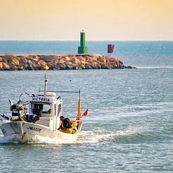Vrijstaande woning in La Marina