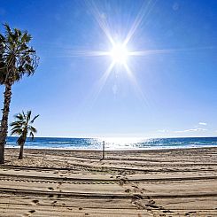 Appartement Calpemar