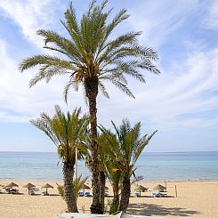 Appartement Calpemar 04