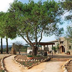 Can Lluís - El Trull