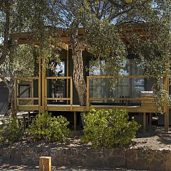 Mobil Home Family Plus