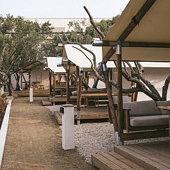 Cottage Couple Tent