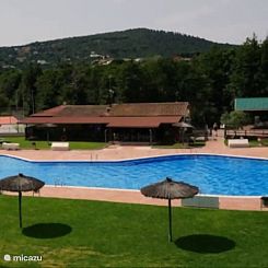 La Tórtola del Bosque