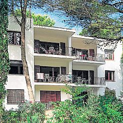 Appartement S'Olivera Nº6