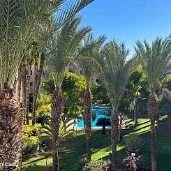 Penthouse Pentaguila