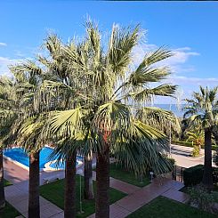 Appartement Wohnung Stella, 1. Reihe Meerblick und Palmen