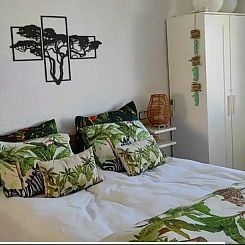 La casa de leones