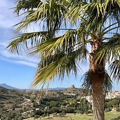 Penthouse Las Brisas