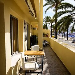 Palmeras Puerto Paraiso Estepona