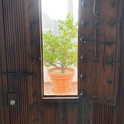 Casa Rosado