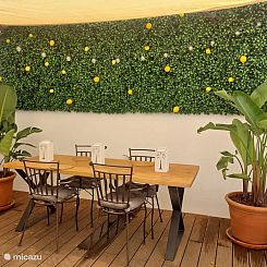 El Patio