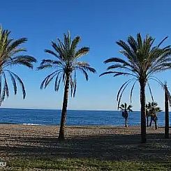 Las Olas 14