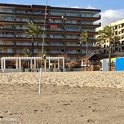 Palm Beach