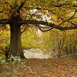 Vakantiehuisje in Casas Del Monte