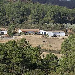 Vakantiehuis Finca "Cottage" mit gemeinschaftlichem Pool