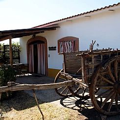 Finca El Chorrillo - Casita