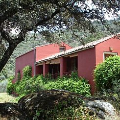 Vakantiehuis Das Cortijo auf der Finca al-manzil