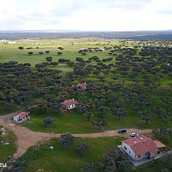 Finca Las Abubillas 1