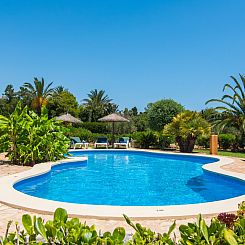 Vakantiehuis Fantastische Finca mit überdachter Terrasse