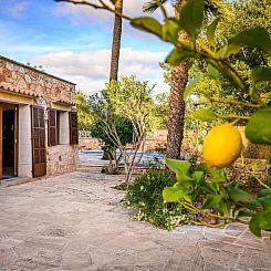 Vakantiehuis Villa Moli de Ca n'Orell