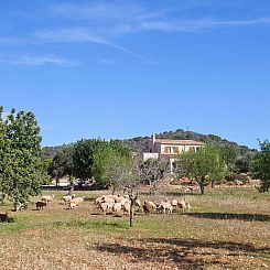 Vakantiehuis Finca Can Marines
