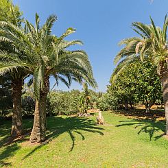Vakantiehuis Jardi