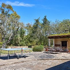 Vakantiehuis Finca Mal Ric